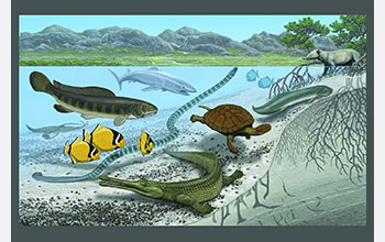 Mollusks, giant sea snakes and catfish in the ancient Trans-Saharan Seaway.