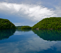 A Rock Islands of Palau canal surrounded by trees.
