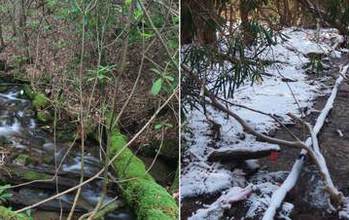 side by side a stream in winter and in summer