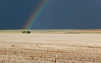 A rainbow over fields along U.S. Route 87 in Montana