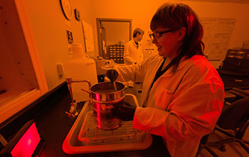 Graduate student prepares sediment samples collected from Greenland