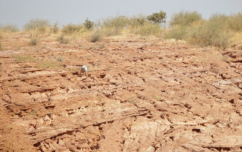 Wide shot of the southwestern Tanzania locality from which the new dinosaur was excavated.