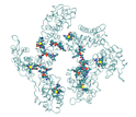 An all-atom simulation of six Gag polypeptide CA domains arranged in a hexagonal structure.