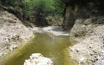 A stream in the Cibao Valley, Dominican Republic, cuts into soft sediments containing fossil coral.