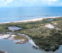 Natural Underwater Springs Show How Coral Reefs Respond to Ocean  Acidification