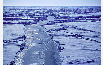 Photo of melting arctic sea ice.