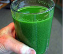 Glass of  green water from Lake Erie during the algae bloom.