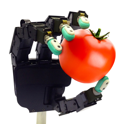 Robotic hand holds a tomato
