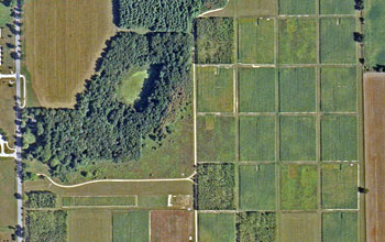 Satellite view of the cropping systems experiment.