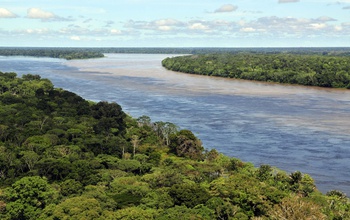 aerial view of of river Amazon