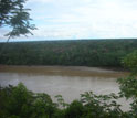 Photo taken from a river bluff of the Madre de Rios River in Peru.
