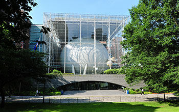 American Museum of Natural History.