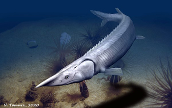 prehistoric fish Tanyrhinichthys mcallisteri