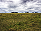 the countryside in Buenos Aires