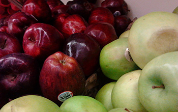 variety of apples