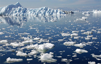 Artic ice floating in the ocean