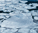 Arctic "pancake" ice consists of round pieces ranging from inches to feet in diameter.