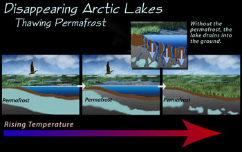 Scientists say rising temperatures have led to the disappearance of 125 Arctic lakes.