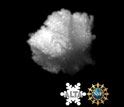 a snowflake captured by a camera that records snow as it falls.