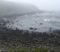 Photo of ocean acidification study field site at Fort Ross, California, on a foggy day.