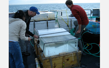 Photo showing setup of incubation experiments to study phytoplankton response to acidification.