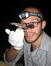 Photo of a little brown bat held by a University of California Santa Cruz graduate student.