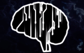 brain with white lines