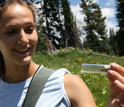 Biologist Therese Lamperty holding a bumble bee in a glass tube.