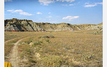 This image was captured as the researchers were pulling into camp after a full day in the field.