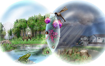 Illustration with healthy forest on left, deforestation on right, and mosquito and ticks in middle