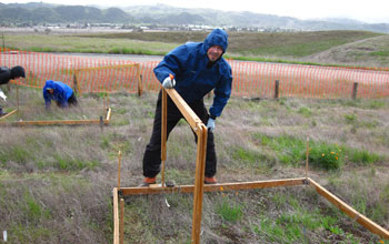 Photo of scientist David Hooper of Western Washington University conducting grassland research.
