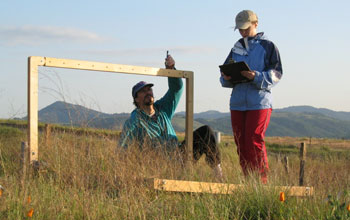 Photo of biologists David Hooper and Leslie Gonzalez measuring plant diversity and productivity.