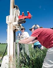 researchers at Kellogg Biological Station collect soil cores