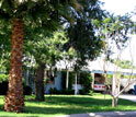 Photo of a non-native grass lawn in Phoenix with a house, garage and cars in the background.
