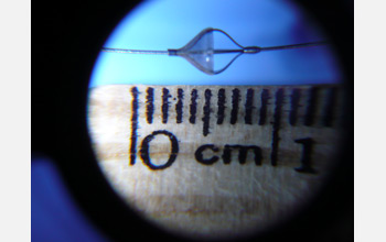 Photo of the Insera SHELTER device, which is small enough to fit into tiny blood vessels in brain.