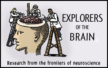 Explorers of the Brain