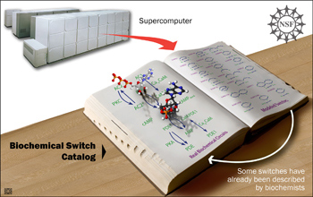 An artist's illustration of how scientists use computers to understand chemical switches.
