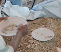 Photo showing researchers sifting dirt in pursuit of fossil bones.