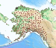 Map of EarthScope Alaska Transportable Array stations (red symbols). Circles are new stations.