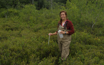 Jennie Sirota conducting research within the confines of a dark bog.