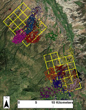 GPS data from bobcats on the Uncompahgre Plateau, Colorado.