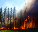 Alaska forest fire near NSF's Bonanza Creek LTER site