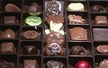 Assortment of chocolate candy in different shapes and sizes