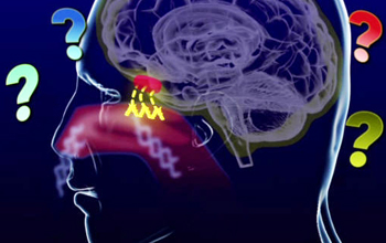 Illustration of person's nose detecting smell and brain reacting, with question marks all around