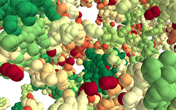 a 3D forest of chromatin