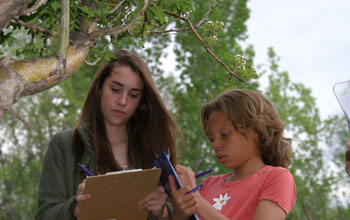 Photo showing two students taking notes on seasonal changes in plants for Project Budburst.