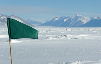 Photo of a green marker flag in the area where researchers are working.