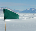 Photo of a green marker flag in the area where researchers are working.