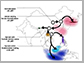 map shows the spread of rice into both northern and southern Asia