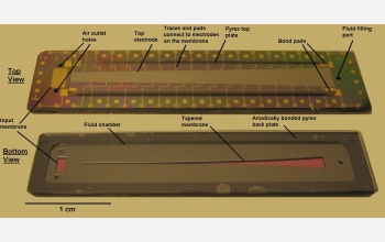 Detailed image of an earlier artificial cochlea developed by the University of Michigan researchers.